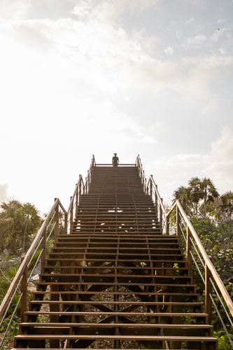 C733_MiradorMangleTulum