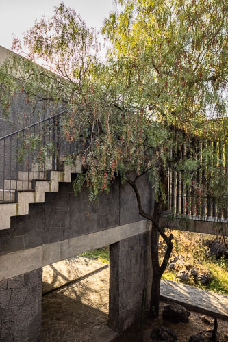 TallerArquitectura_Anahuacalli_2