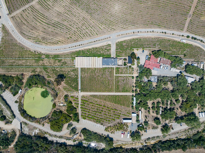 TallerArquitectura_Vinicola